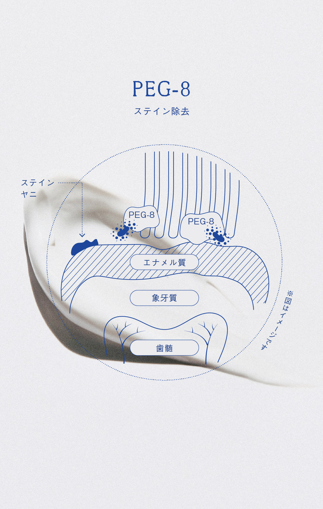 歯磨き粉