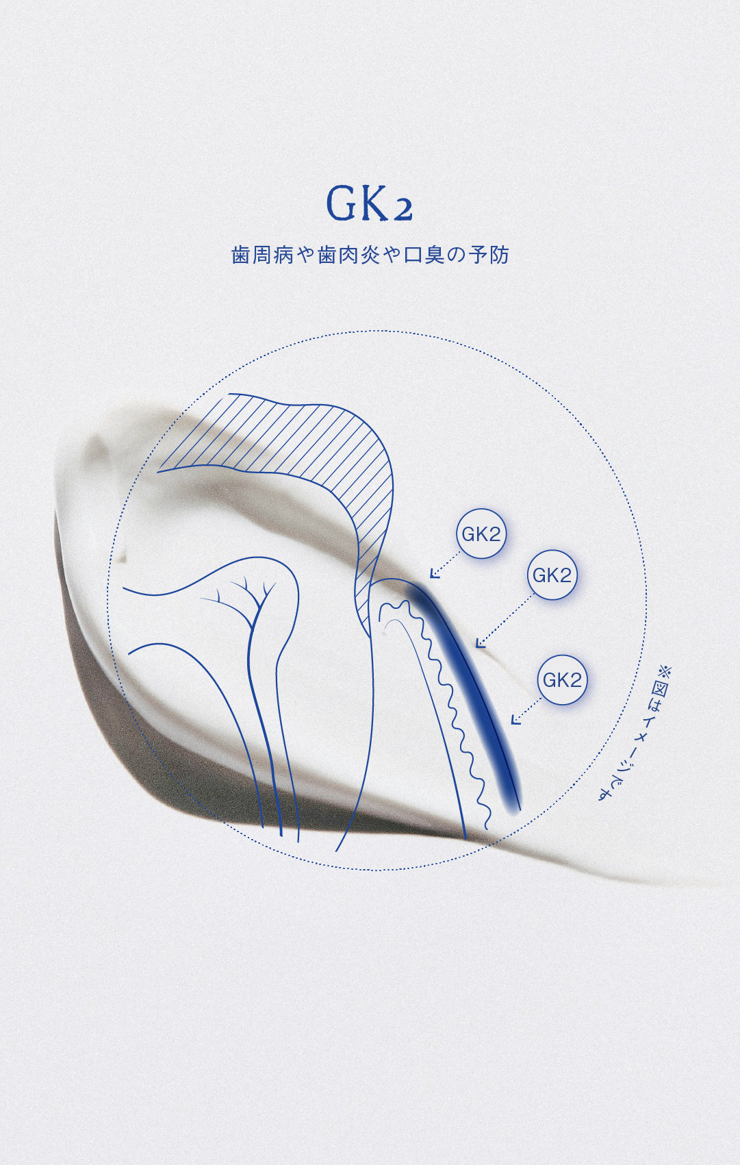 歯磨き粉